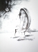 akos_images